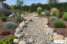 Dry creek drainage bed with rocks and plants