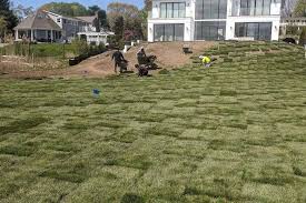 Large residential sod installation project