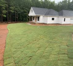 New home with fresh sod installation