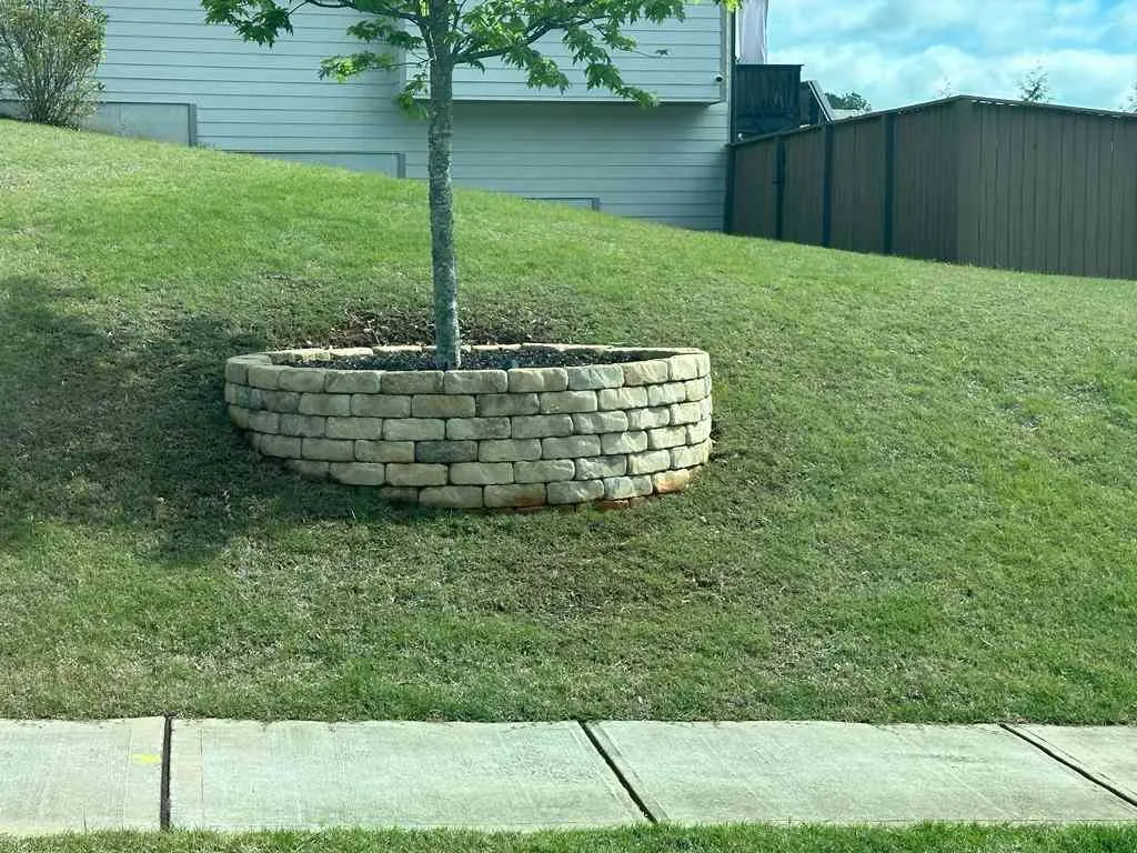 Primary Landscape Solutions project image