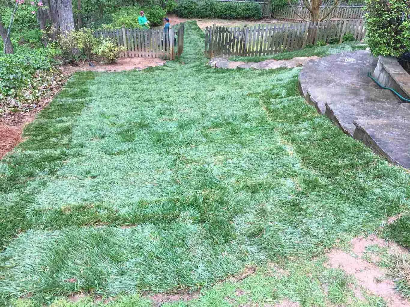 Primary Landscape Solutions project image