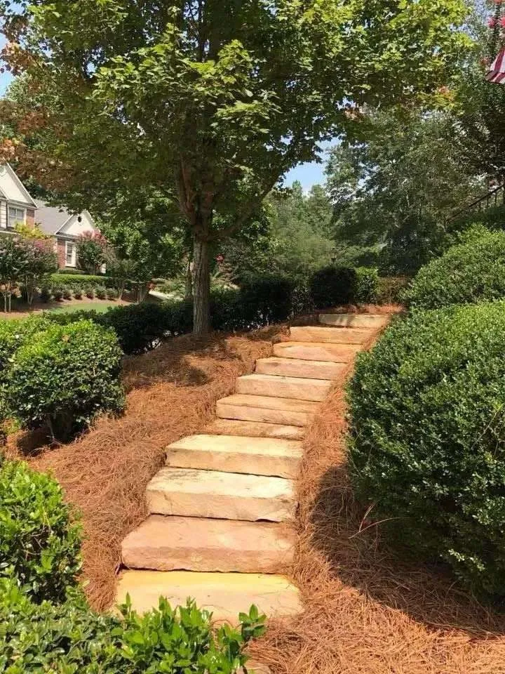 Primary Landscape Solutions project image