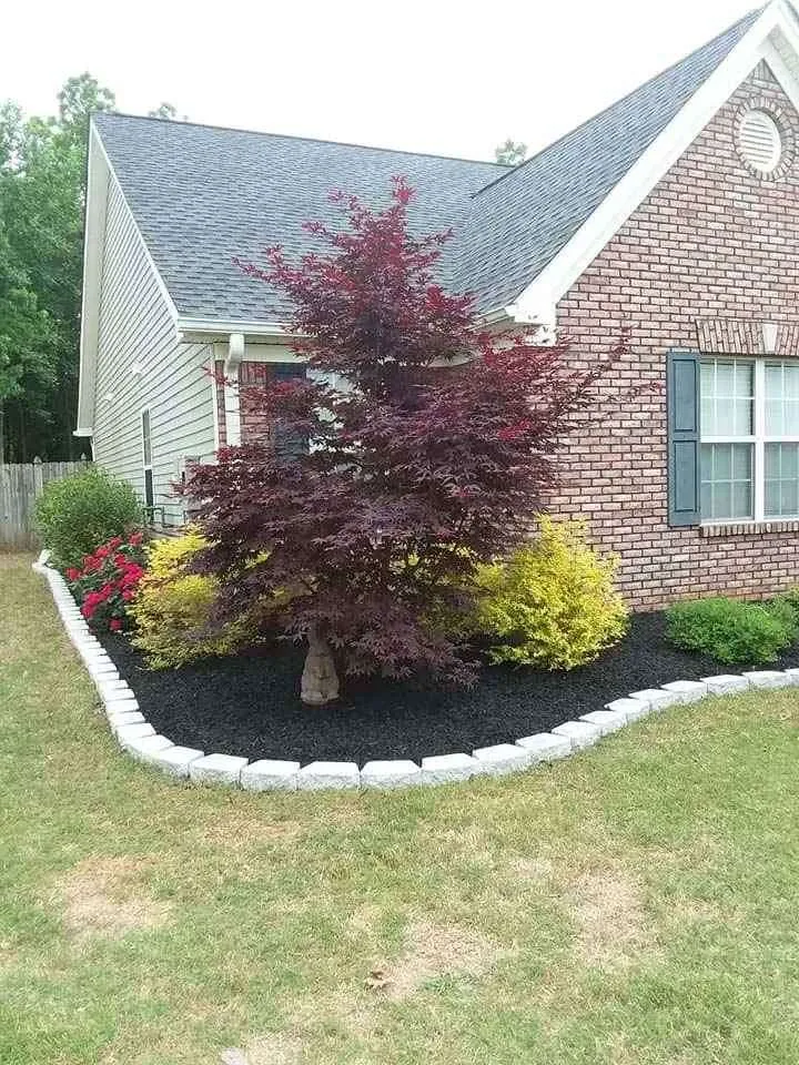 Primary Landscape Solutions project image