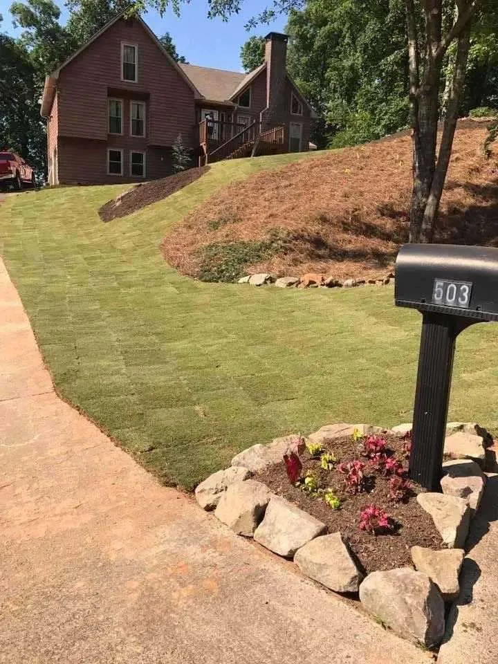 Primary Landscape Solutions project image